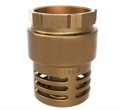 Válvula de Sucção Pé com Crivo 63 mm (2 1/2")